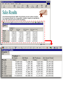 Example of a PivotTable list on a Web page