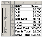 Example of automatic subtotals