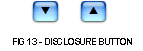 (Disclosure Button)