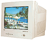 NEC MultiSync A500