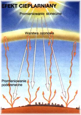 Efekt Cieplarniany