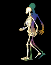 Skelly animation picture