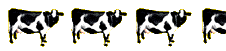 3.5 Cows