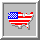 [ICON: usa button]