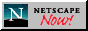 [Netscape Logo]