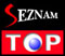 TOP.cz Logo