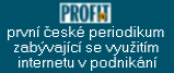 Profit, internet v podnikani