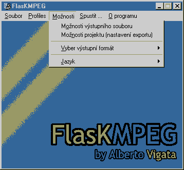 FlaskMoznosti