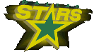 Visit the Dallas Stars Web site