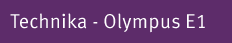 Olympus E1
