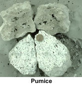 Pumice