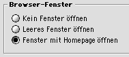 Fenster bei Programmstart