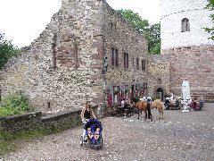 Burgruine Plesse (Castle Ruins)