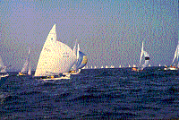 Sailboats Racing - Lake Erie