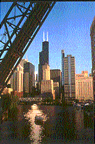 Sears Tower and Chicago Architecture