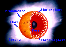 Structure of a normal star