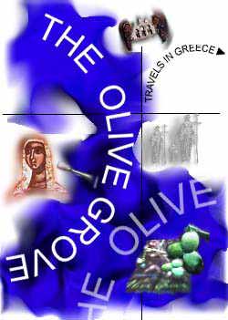 The Olive Grove