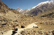 W Himalajach