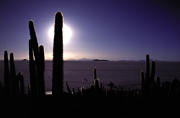 Krajobraz Altiplano - Salar de Uyuni, pd.-zach. Boliwia