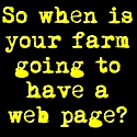 Web Pages