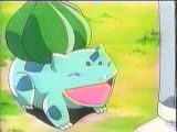 Fushigidane/Bulbasaur