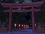 19 神社 - 鳥居 夜