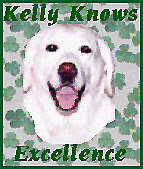 Kelly Knows Excellence !