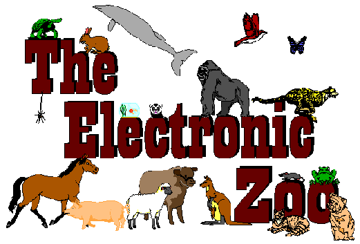 Clickable Electronic Zoo Logo⌐