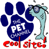 The Pet Channel Cool Site | 