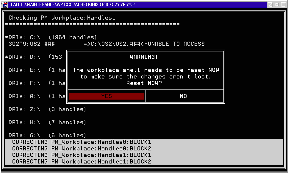 OS/2 command window after the ENTER key