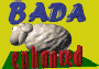 Bada Enhanced