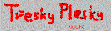 T°esky Plesky digitßln∞_logo