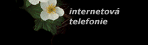 internetova telefonie