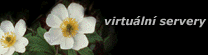 virtualni servery
