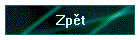 Zp∞t