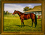 The Kentucky Horse Park's International Museum of the Horse