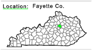 Fayette County
